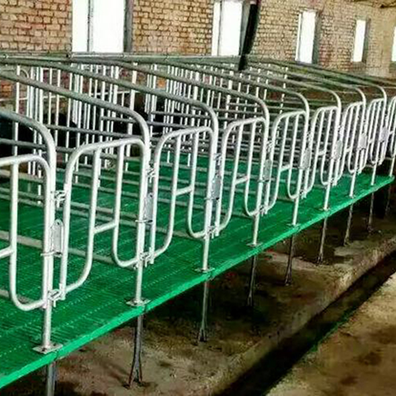 Animal husbandry and breeding projects